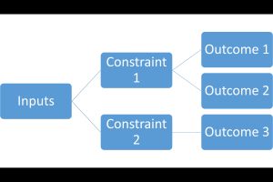 Outcomes and Constraints