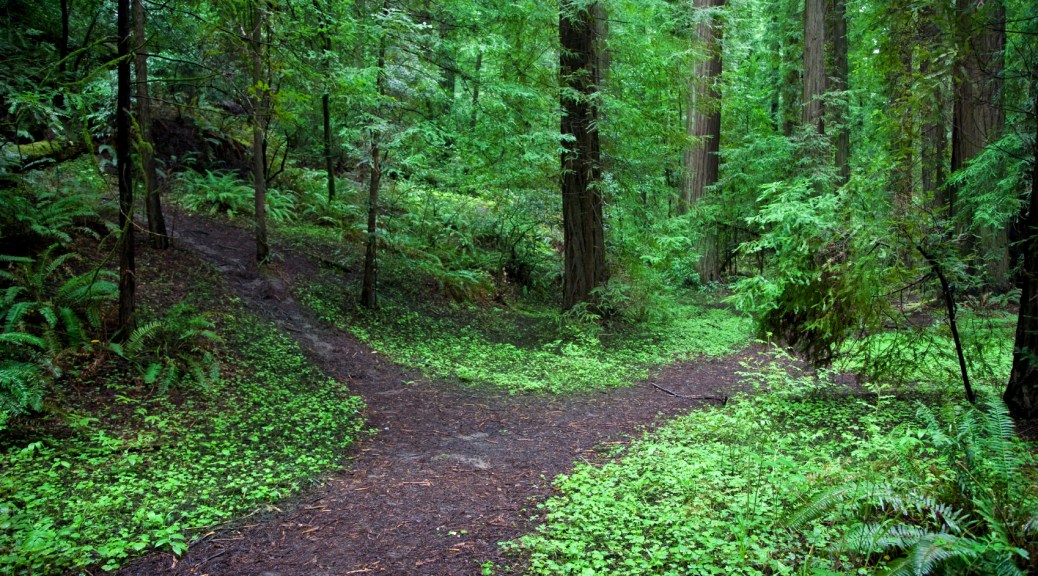 Fork in the road for entrepreneurs